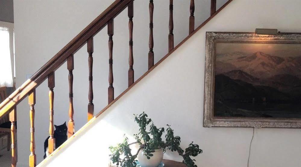 Aberdeen Stone Cottage B&B Traverse City Buitenkant foto